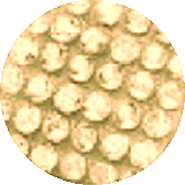 Diamantes - Gold