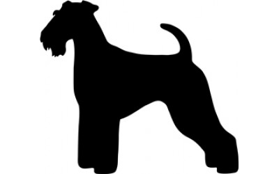 Airedale Terrier Library