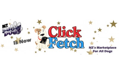NZ Show Dogs Becomes Click N Fetch