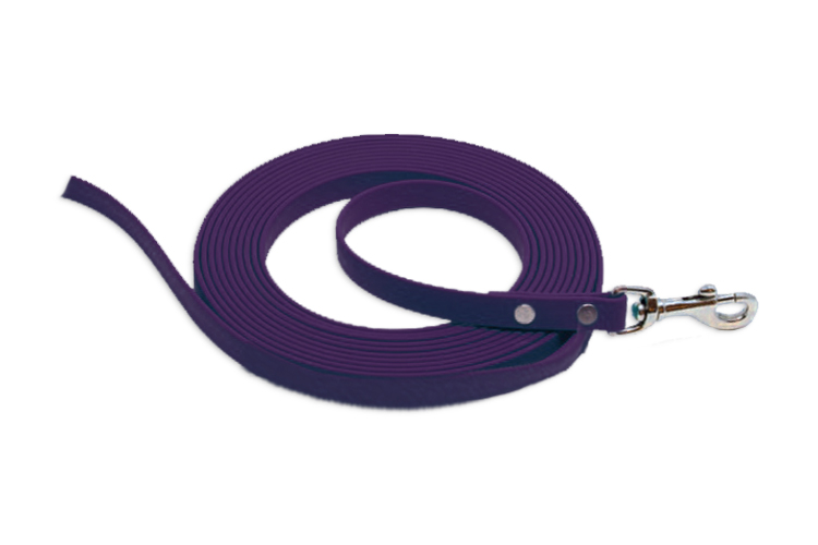 Biothane 3m Scentwork Leash DNZ Approved