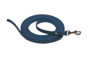 Biothane 3m Scentwork Leash DNZ Approved
