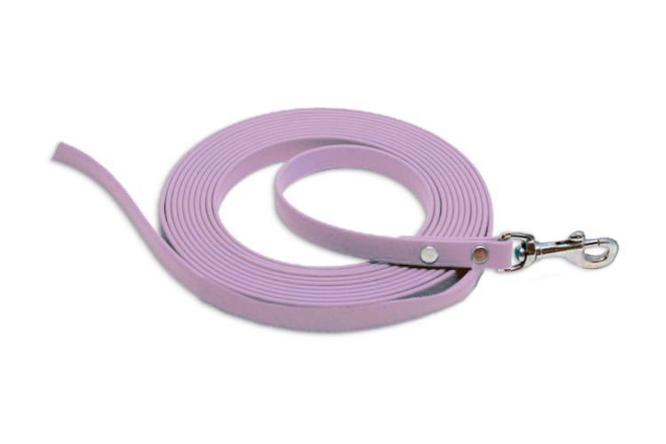 Biothane 3m Scentwork Leash DNZ Approved