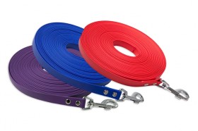 Biothane 3m Scentwork Leash DNZ Approved