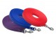 Biothane 3m Scentwork Leash DNZ Approved