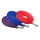 Biothane 3m Scentwork Leash DNZ Approved