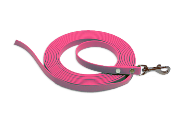Biothane 3m Scentwork Leash DNZ Approved