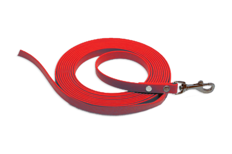 Biothane 3m Scentwork Leash DNZ Approved