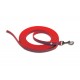 Biothane 3m Scentwork Leash DNZ Approved