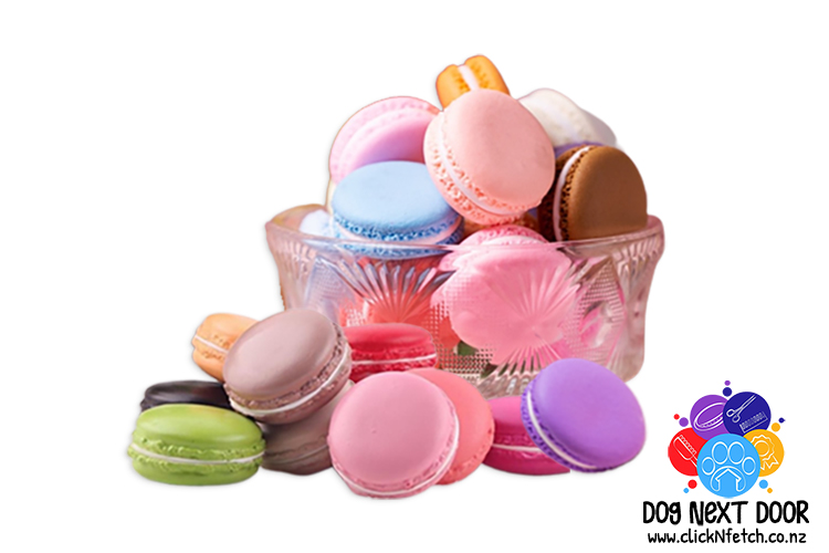 Novelty Macaroon  Scentwork Hides