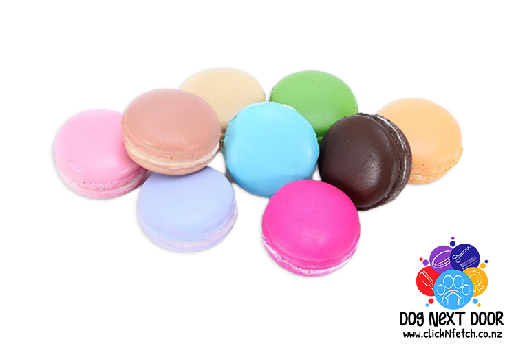 Novelty Macaroon  Scentwork Hides