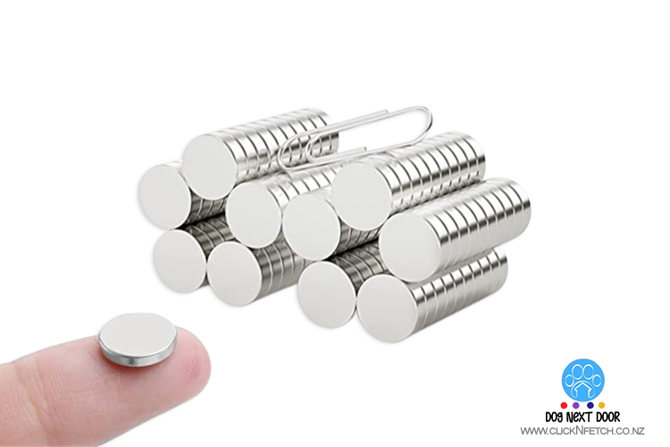 Neodymium (Rare Earth) Magnets