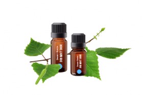 Essential Oils - SSANZ