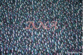 Colourful Strands DNA Dog Snood