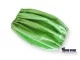 Green & White Polka Dots Dog Snood