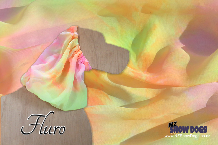 Fluro Show Dog Snood