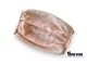 Peachy Keen Show Dog Snood