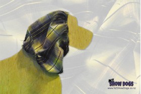 Tartan Black Honey Cotton Dog Snood - Medium Size