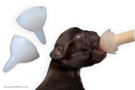 Silicone Feeding Nipple 2 & 5pks + Syringes