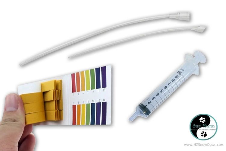 Puppy Feeding Tubes 6Fr & 8Fr