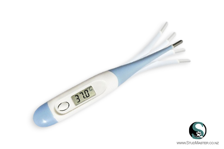 Digital Thermometer