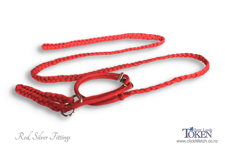 Colourful Clip, Slip & Martingale  Leads