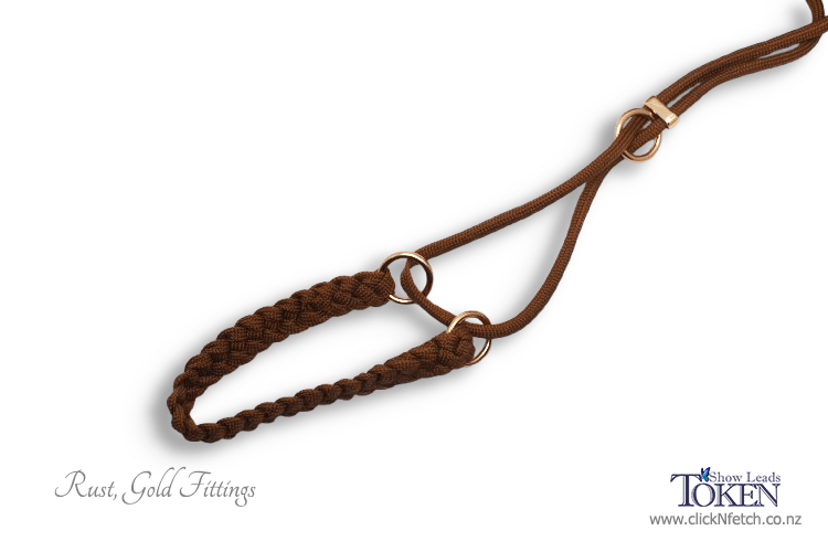 Plain Martingale Show Leads