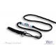 Cotton Candy Martingale Lead