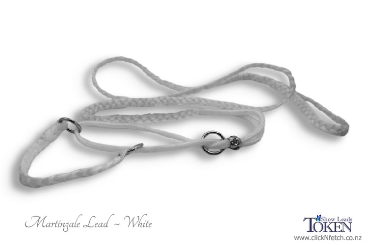 Plain Martingale Show Leads