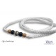 Tuxedo Slip Lead