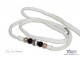 Black White & Gold Beaded Slip Lead #6090