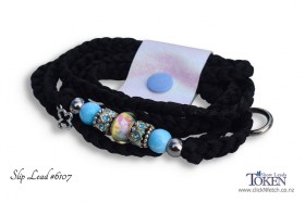 Sunny Blue Slip Lead