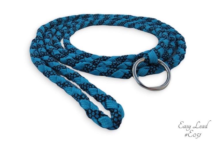 Diamond Blue Dog Walking Lead