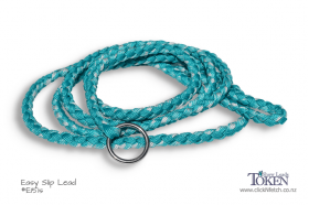 Seafoam Dog Lead for Groomers