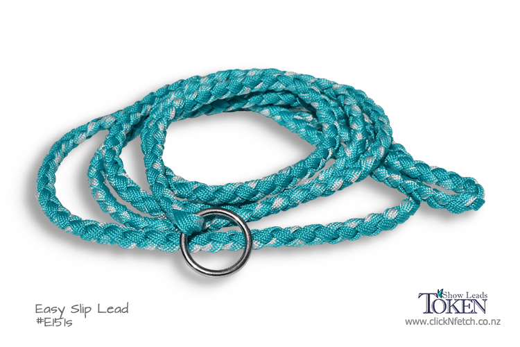 Seafoam Dog Lead for Groomers
