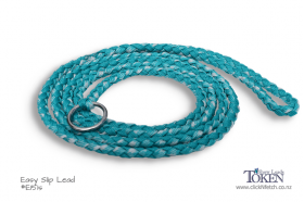 Seafoam Dog Lead for Groomers