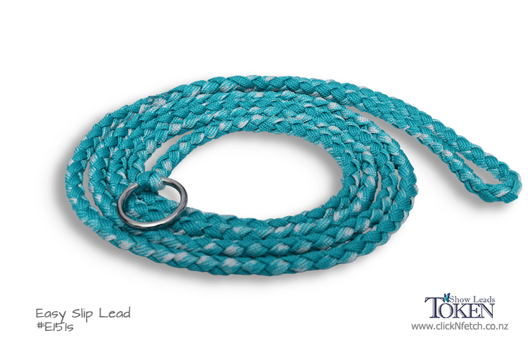 Seafoam Dog Lead for Groomers