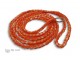 Orange Dog Slip Lead