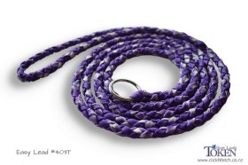 Amethyst  Everyday Slip Lead