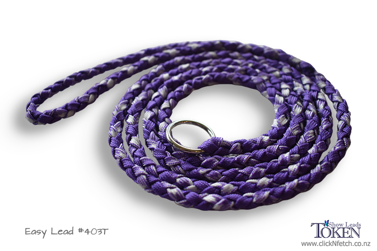 Amethyst  Everyday Slip Lead