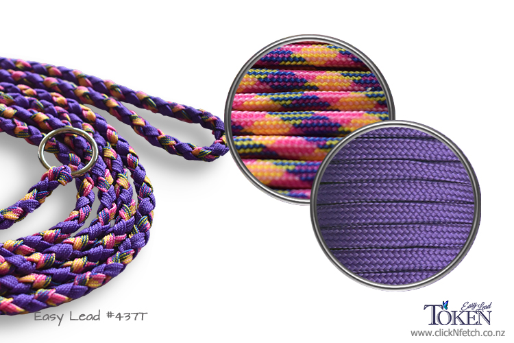 Purple Spice Easy Lead