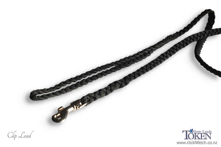 Bold Bright Leads - Clip Slip & Martingale 