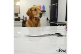 8.5 Inches Curved 60 Tooth Thinner