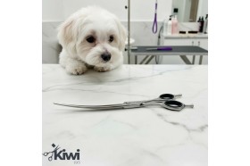 Curved Dog Grooming Scissors, 8.5 "
